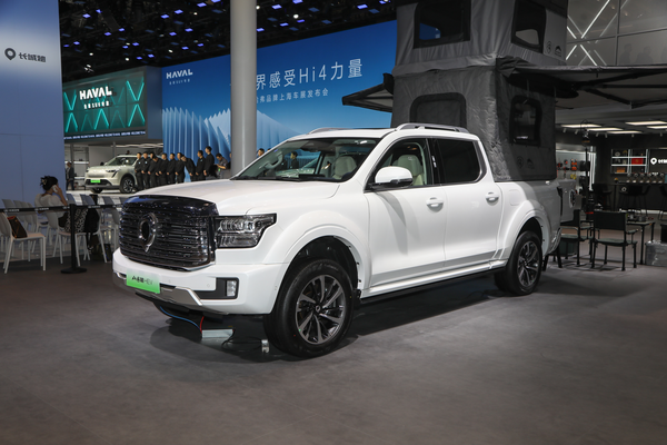 山海炮 2023款 HEV 基本型车身结构_车身图