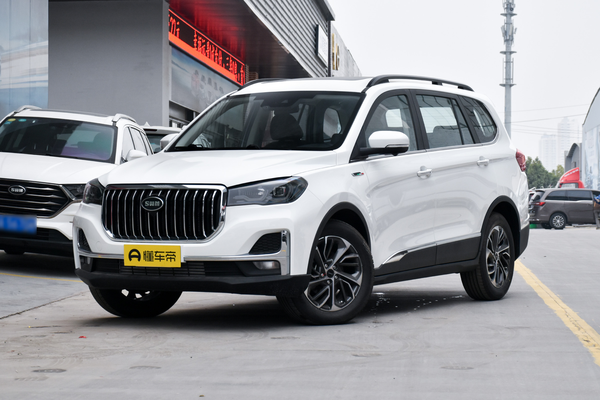 斯威G05 2021款 PRO 1.5T 自动尊贵型 7座驾驶辅助影像_辅助/操控配置图