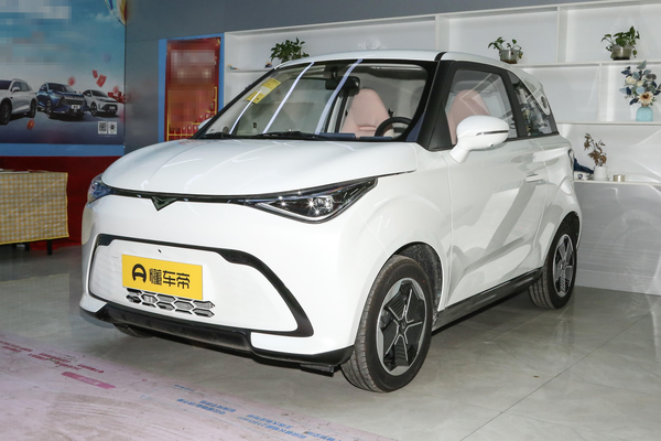 拾月 2023款 301km 追风版厂商_基本信息图