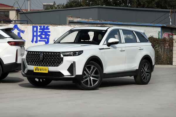 奔腾T99 2019款 20TD 自动豪华型厂商_基本信息图