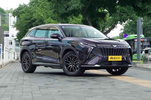 比亚迪插混+奇瑞底盘，喝92粗粮，还是大五座，这车你看如何？