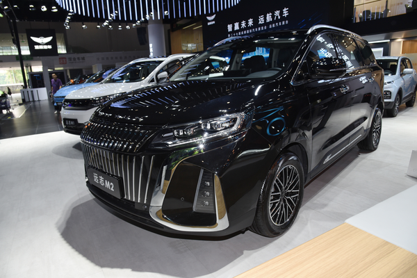 远志M2 2024款 标准型级别_基本信息图
