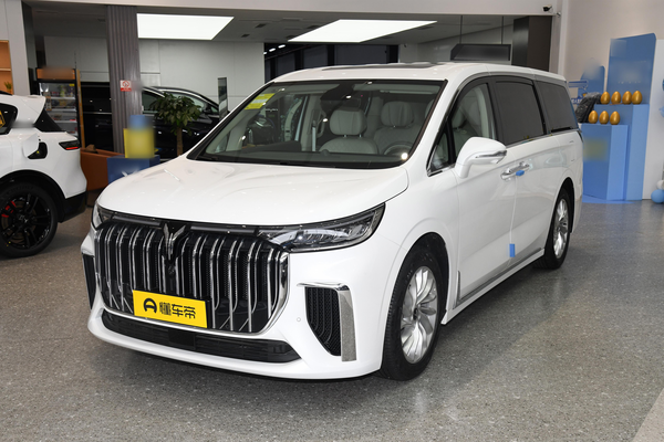 岚图梦想家 PHEV 2022款 低碳版 家厂商_基本信息图