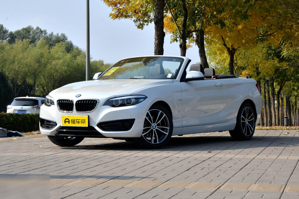 宝马2系(进口) 2018款 220i 敞篷轿跑车 运动设计套装日间行车灯_灯光配置图