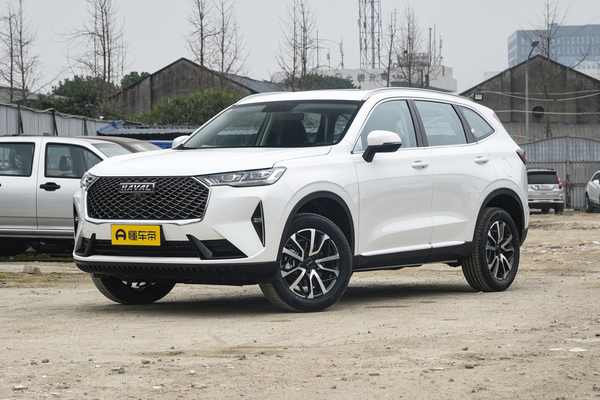 哈弗H6 2021款 第三代 1.5T 自动乐享型胎压监测系统_被动安全图