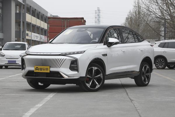 鲸 2022款 2.0T 白鲸版厂商_基本信息图