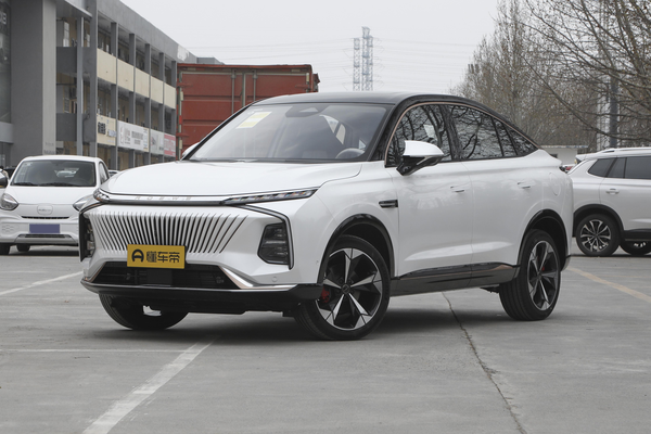 鲸 2022款 2.0T 虎鲸版厂商_基本信息图