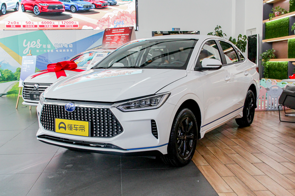 比亚迪e3 2021款 升级版 高续航版 豪华型电池组质保_电池/充电图