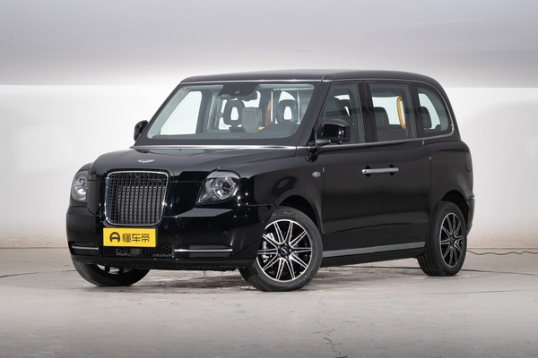 LEVC TX 2023款 增程商务版厂商_基本信息图