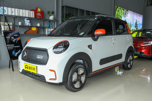 新特AEV 2020款 AEVs厂商_基本信息图