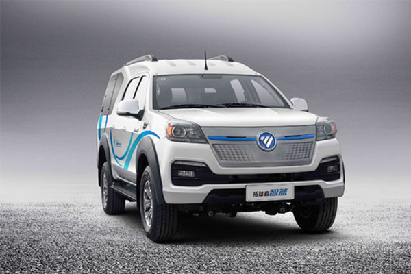 拓陆者智蓝 2021款 精英版厢货厂商_基本信息图