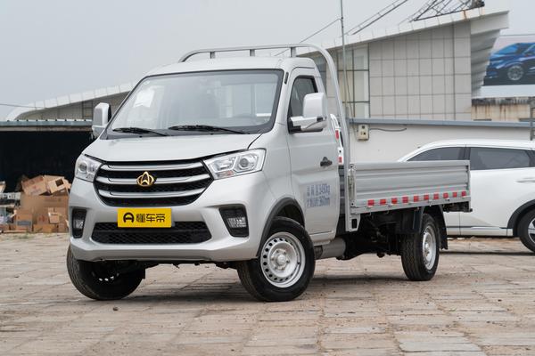 新豹T5 2021款 1.6L标准版双排栏板双后轮2550mm货箱DAM16KR能源类型_基本信息图