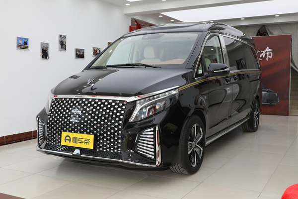 盛唐V-Class 2023款 2.0T 卢浮宫加冕厂商_基本信息图