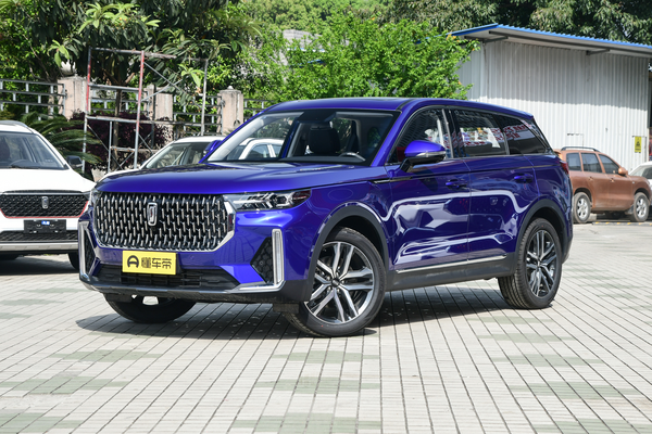 奔腾T99 2019款 20TD 自动尊享型厂商_基本信息图