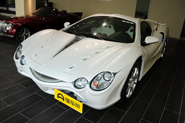 大蛇 2010款 3.3L 自动标准型厂商_基本信息图