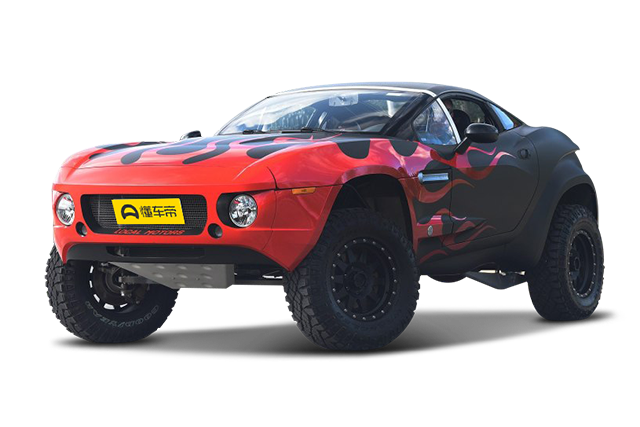 RALLY FIGHTER
