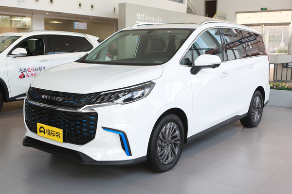 大通EUNIQ 5 2019款 豪华版厂商_基本信息图