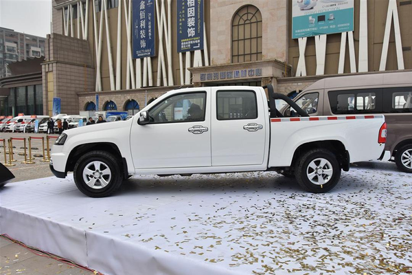 神骐F50 2016款 2.2L豪华版长轴491QE厂商_基本信息图