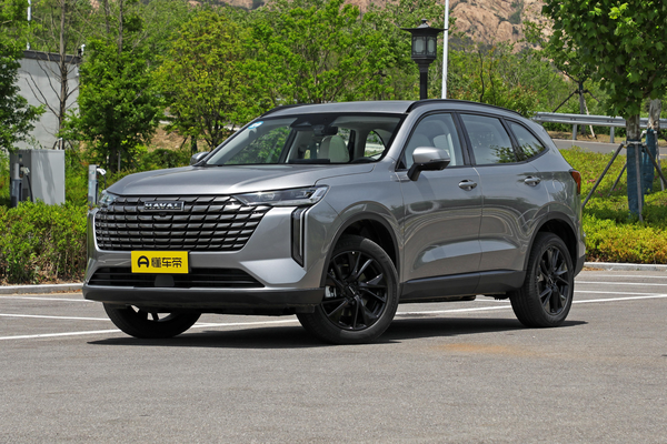 哈弗H6 2024款 2.0T 自动四驱Max版厂商_基本信息图