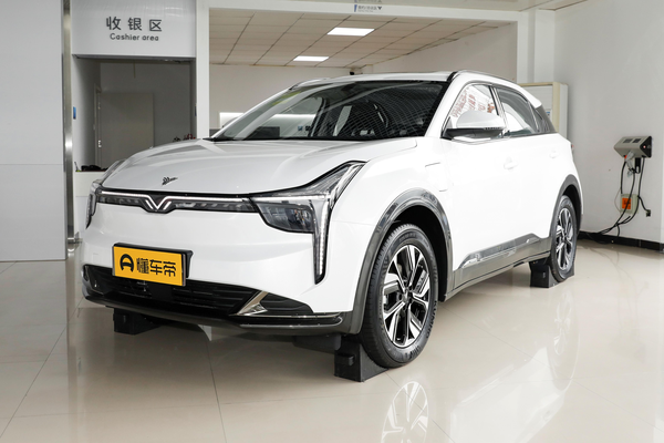哪吒U 2022款 智610 三元锂电动机总扭矩(N·m)_电动机图
