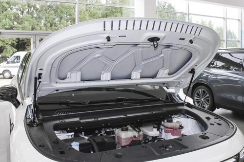 售16.88万，配激光雷达，轴距2825mm，续航530km，零跑C10香吗？