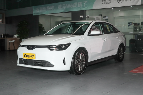 威马E.5 2021款 500 即客行厂商_基本信息图