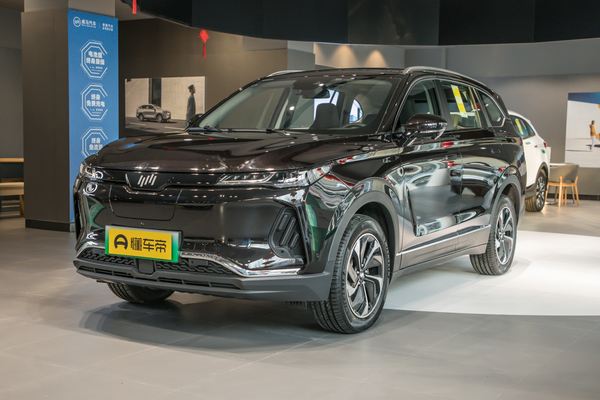 威马EX6 2020款 500极地版厂商_基本信息图