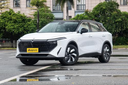 纯电续航110公里，轴距2700mm，体验启辰插混加特林