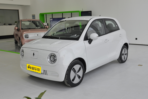 欧拉黑猫 2019款 310km 灵趣版厂商_基本信息图