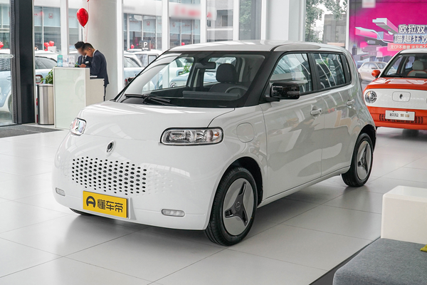 欧拉白猫 2020款 401km长续航型厂商_基本信息图