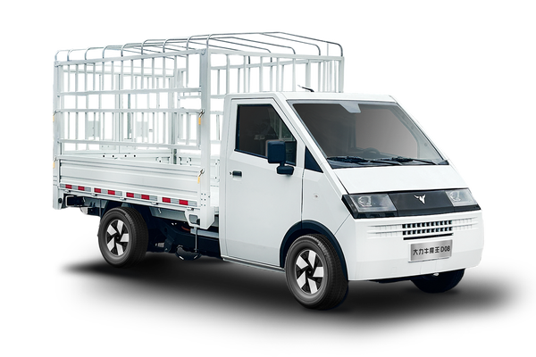 大力牛魔王D08 2024款 240km 仓栅营运型厂商_基本信息图