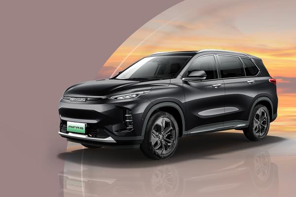 大家6 PLUG IN 2024款 行政版纯电续航里程(km)_基本信息图