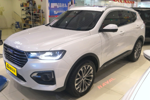 哈弗H6 2019款 蓝标 1.5GDIT 自动超豪智联版级别_基本信息图
