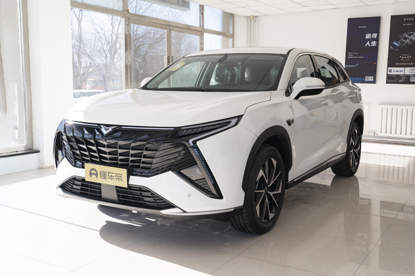 昆仑 2024款 昆仑300 天际版厂商_基本信息图