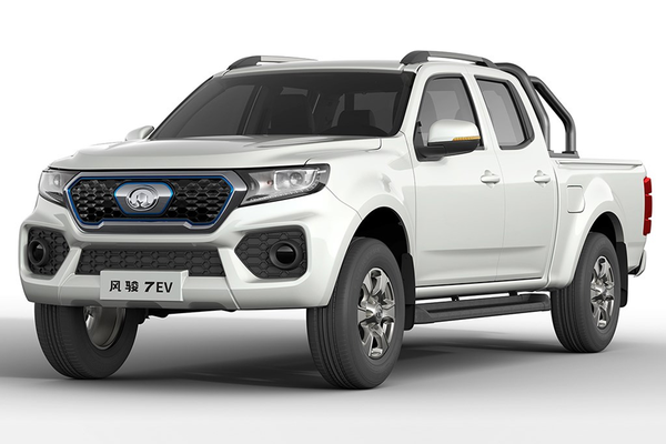 风骏EV 2020款 两驱领航型大双厂商_基本信息图