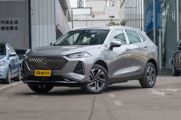 玛奇朵DHT-PHEV 2021款 DHT-PHEV大师版厂商_基本信息图