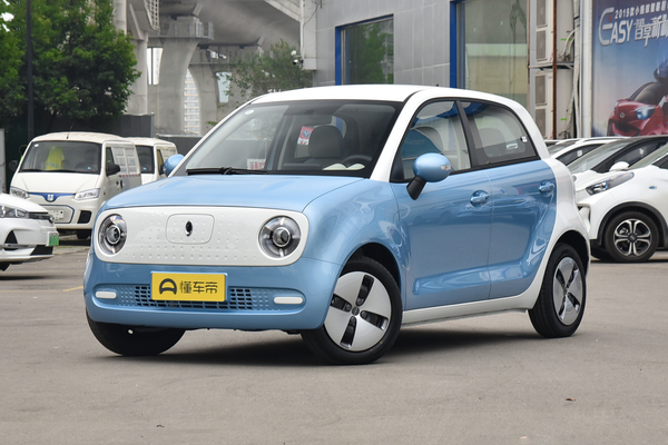 欧拉黑猫 2019款 301km 标准版厂商_基本信息图