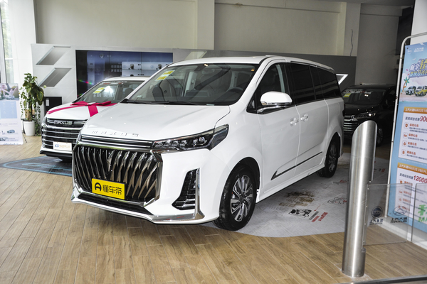 大通G20 2023款 PLUS 2.0T 柴油自动豪华版厂商_基本信息图
