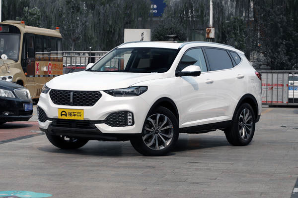 魏牌 VV6 2020款 2.0T 两驱智护+厂商_基本信息图