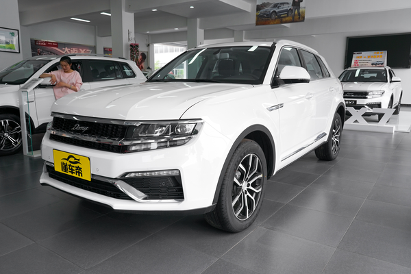 大迈X7 2018款 2.0T 自动尊贵型厂商_基本信息图