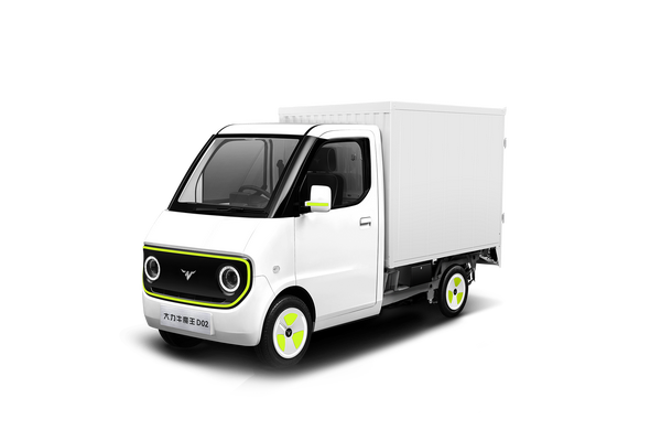 大力牛魔王D02 2024款 120km 厢式营运型厂商_基本信息图