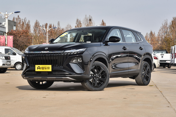 皓极 2025款 马赫动力 1.5T 豪华型厂商_基本信息图