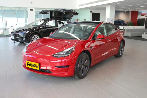 Model 3 2021款 标准续航后驱升级版 3D6级别_基本信息图