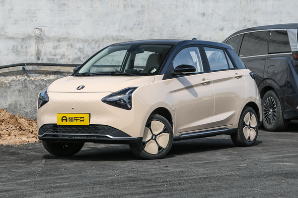 悦01 2024款 251KM 欣悦版厂商_基本信息图