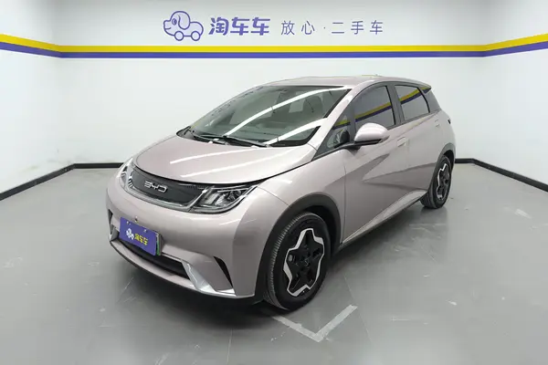 二手海豚 2021款 自由版