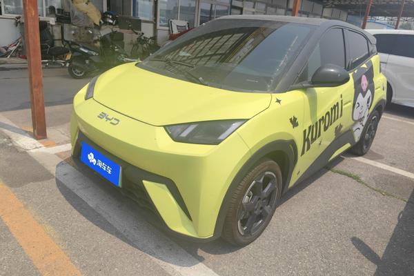 二手海鸥 2024款 荣耀版 405KM 飞翔版