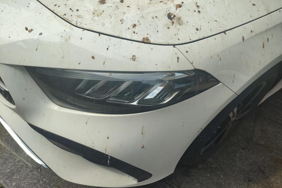 二手奔驰A级 2024款 A 200 L 时尚版图片2