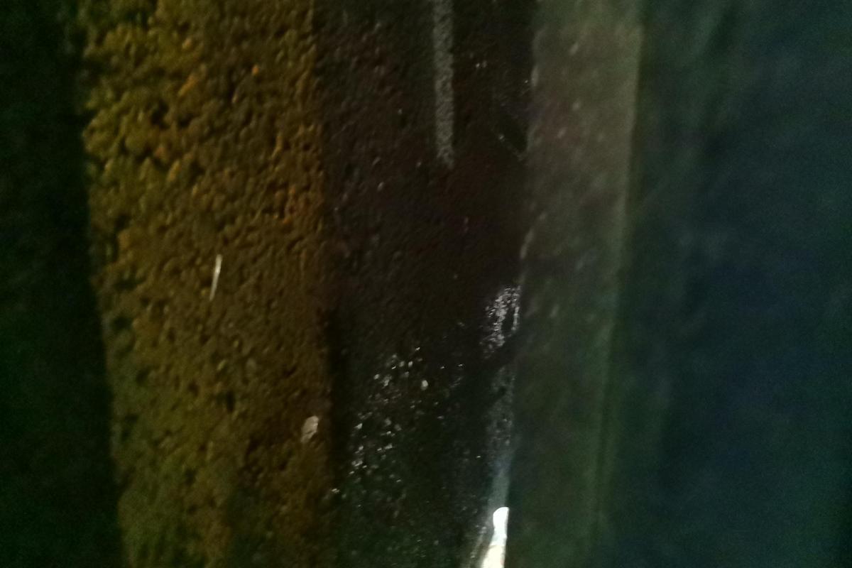 二手飞度 2016款 1.5L SE CVT时尚型图片4