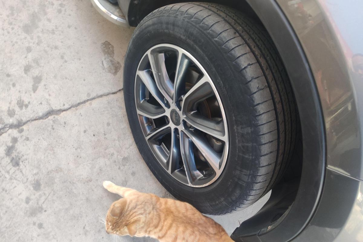 二手博越 2018款 1.8TD 自动两驱智联型4G互联版图片5