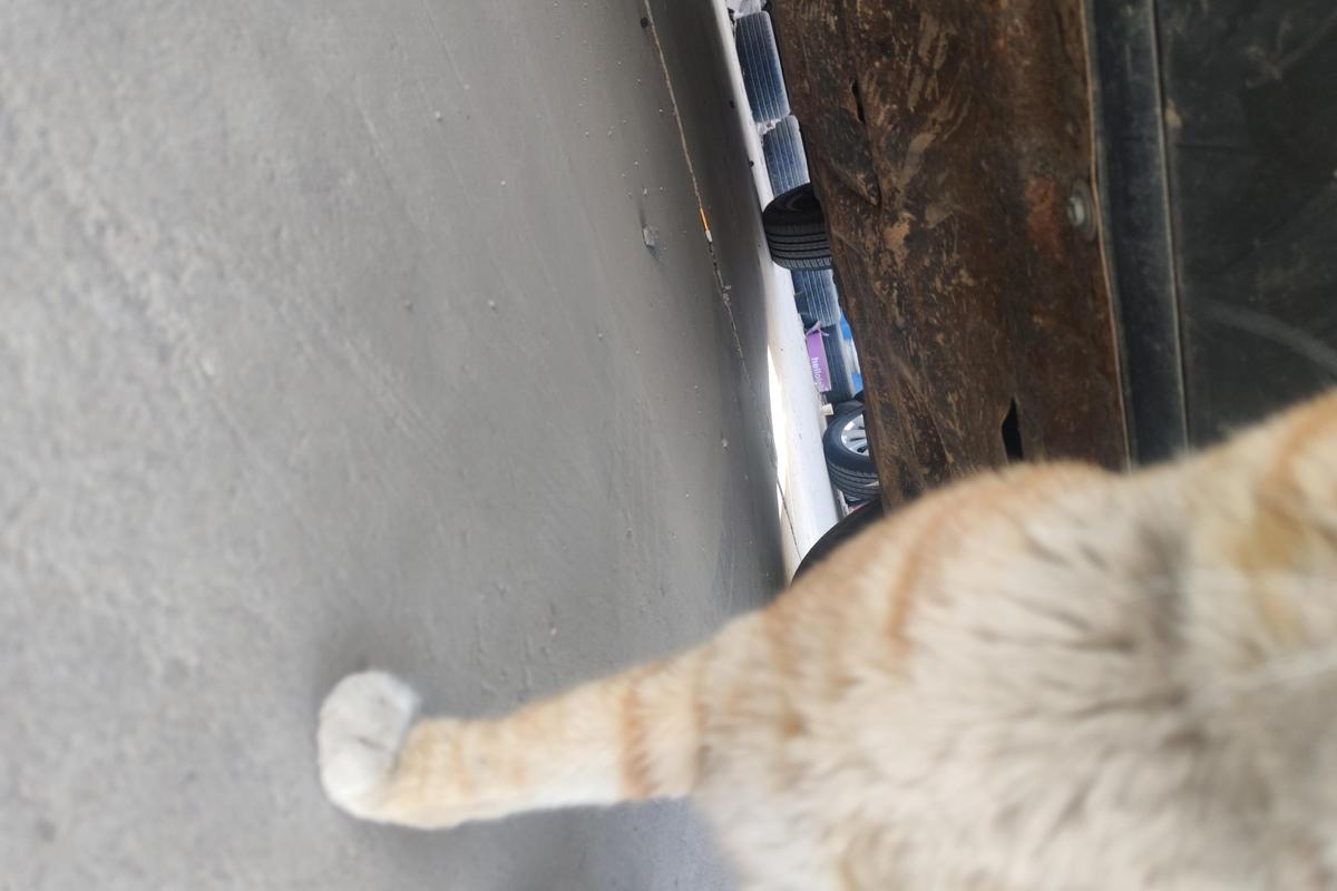 二手博越 2018款 1.8TD 自动两驱智联型4G互联版图片4